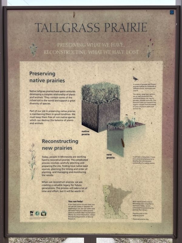 Tallgrass Prairie side of marker. Click for full size. Tallgrass Prairie side of marker image. Click for full size.
