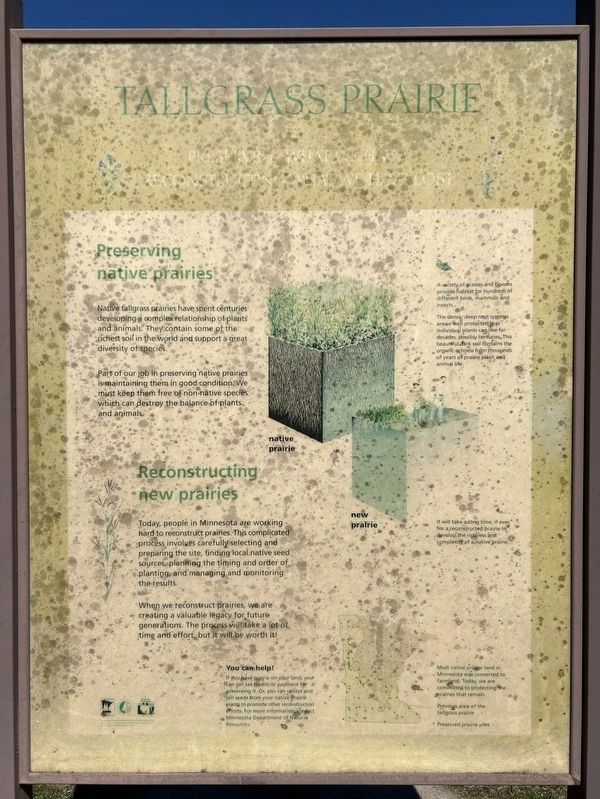 Tallgrass Prairie side of marker image. Click for full size.