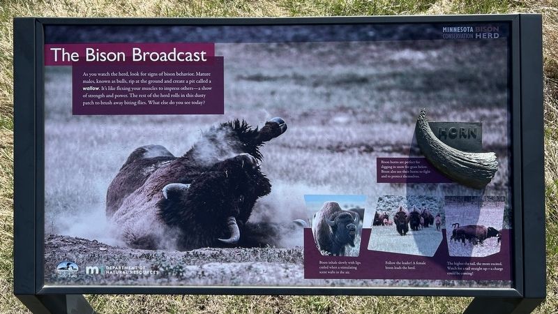 The Bison Broadcast Marker, nearby image. Click for full size.