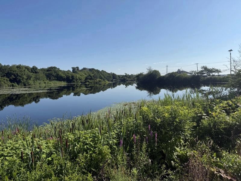 Lake Canonchet image. Click for full size.