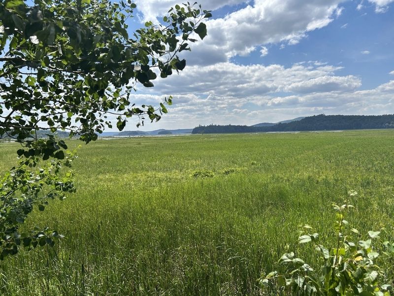 Tupper Lake image. Click for full size.