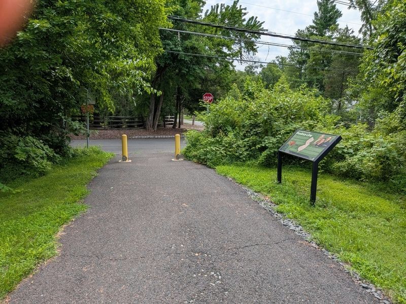 Province Line Marker on the Lawrence-Hopewell Trail. Click for full size. Province Line Marker on the Lawrence-Hopewell Trail image. Click for full size.