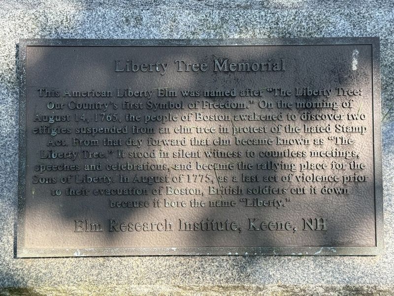 Liberty Tree Memorial Marker image. Click for full size.