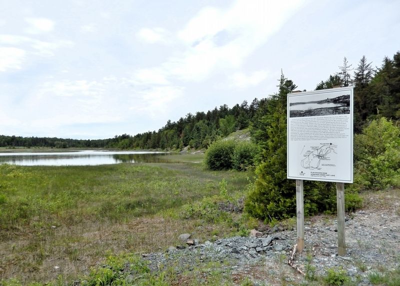 Cart Lake Marker image. Click for full size.
