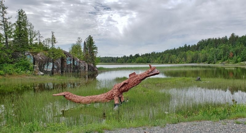 Cart Lake "Nessie" image. Click for full size.