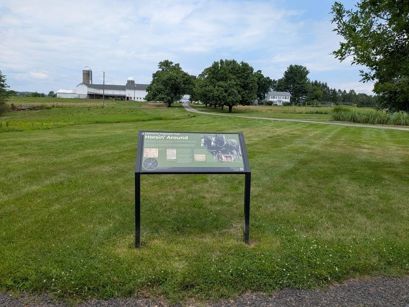 Horsin Around Marker and Farm. Click for full size. Horsin Around Marker and Farm image. Click for full size.