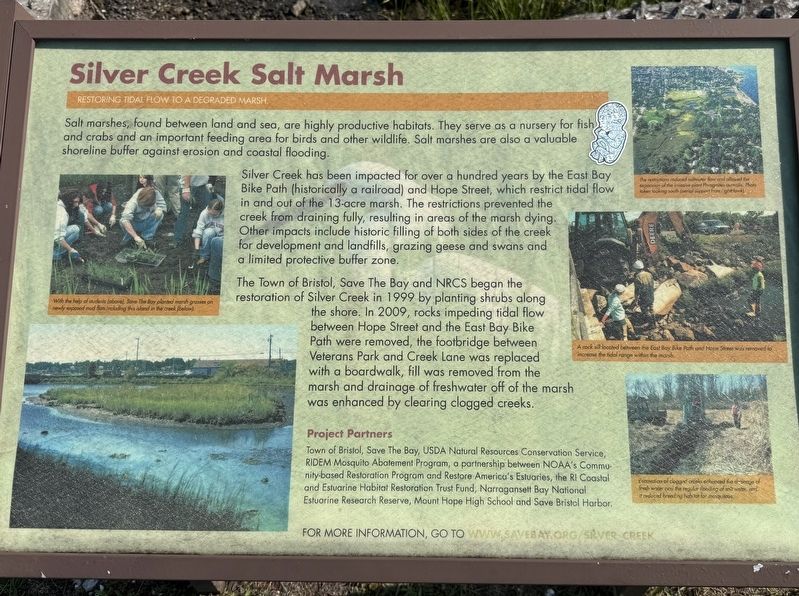 Silver Creek Salt Marsh Marker image. Click for full size.