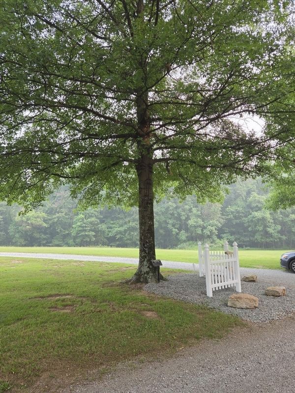 A Memorial to War of 1812 Marker and Tree. Location is near the south entrance to Fairfield Cemetery. Click for full size. A Memorial to War of 1812 Marker and Tree. Location is near the south entrance to Fairfield Cemetery image. Click for full size.