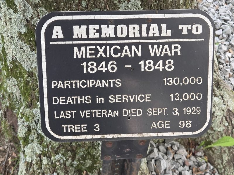 A Memorial to Mexican War Marker image. Click for full size.