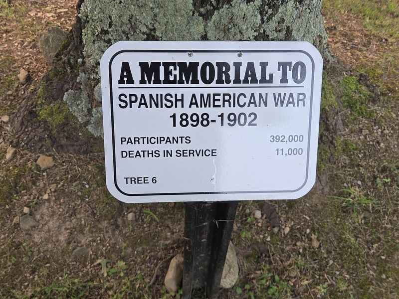 A Memorial to Spanish American War Marker image. Click for full size.