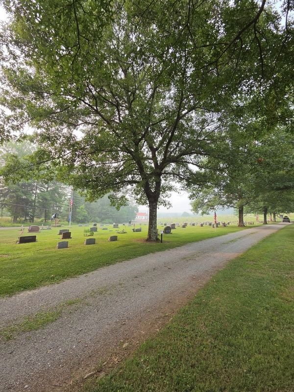 A Memorial to Spanish American War Marker and Tree image. Click for full size.