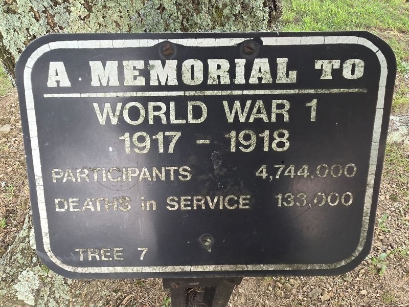 A Memorial to World War 1 Marker. Click for full size. A Memorial to World War 1 Marker image. Click for full size.