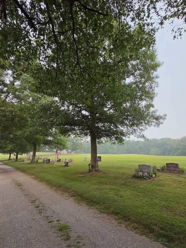 A Memorial to World War 1 Marker and Tree. Click for full size. A Memorial to World War 1 Marker and Tree image. Click for full size.