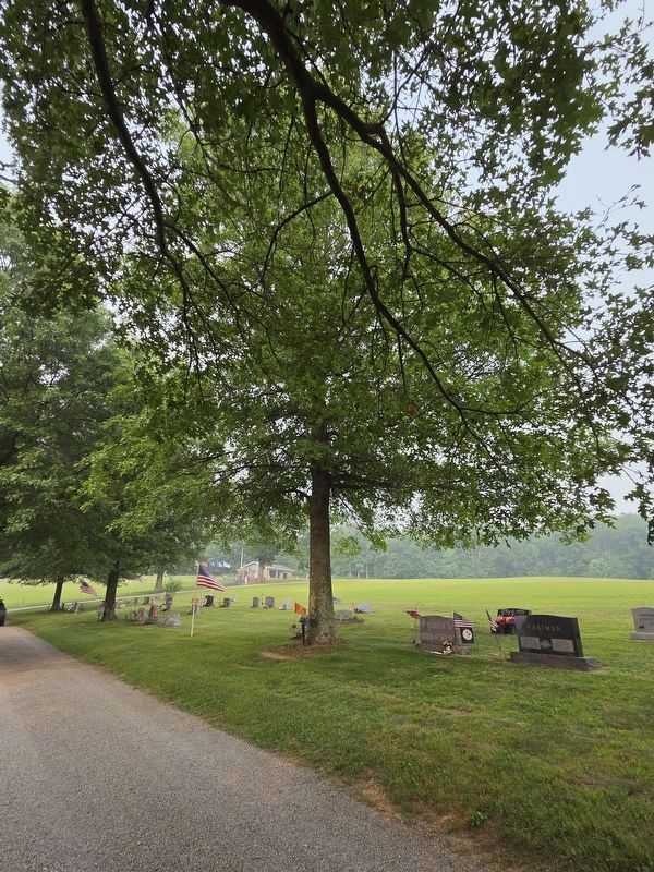 A Memorial to Korean Conflict Marker and Tree. Click for full size. A Memorial to Korean Conflict Marker and Tree image. Click for full size.