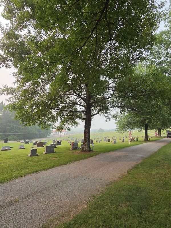 A Memorial to World War 2 Marker and Tree. Click for full size. A Memorial to World War 2 Marker and Tree image. Click for full size.