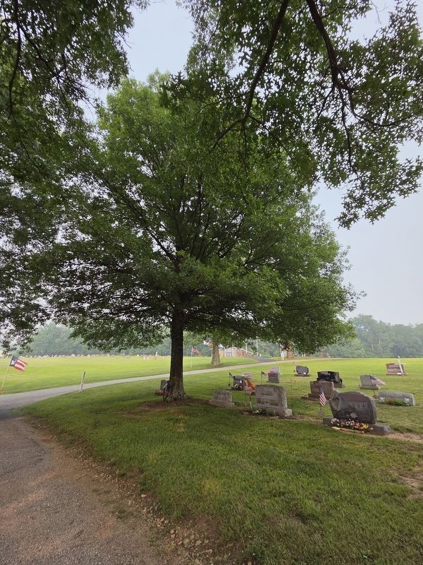 A Memorial to POWs and MIAs Marker. Click for full size. A Memorial to POWs and MIAs Marker image. Click for full size.