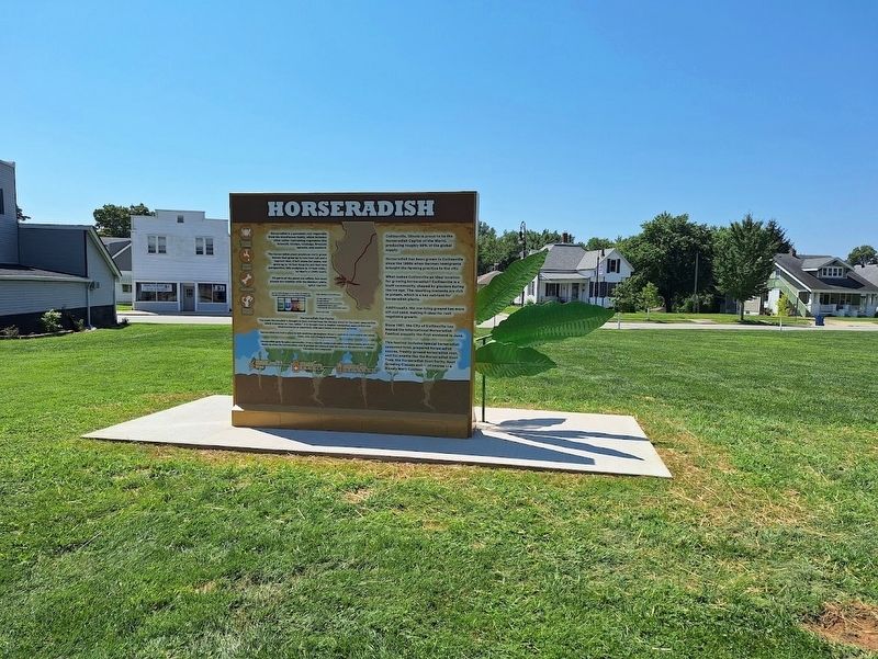 Horseradish Marker image. Click for full size.