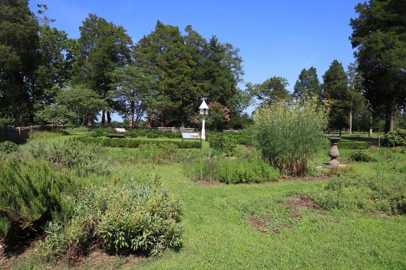 The Garden at George Washington�s Birthplace image. Click for full size.
