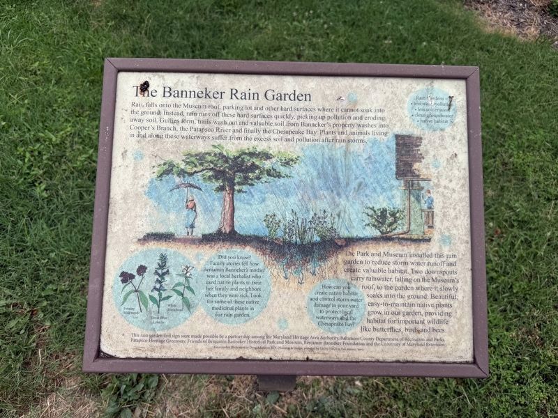 The Banneker Rain Garden Marker. Click for full size. The Banneker Rain Garden Marker image. Click for full size.