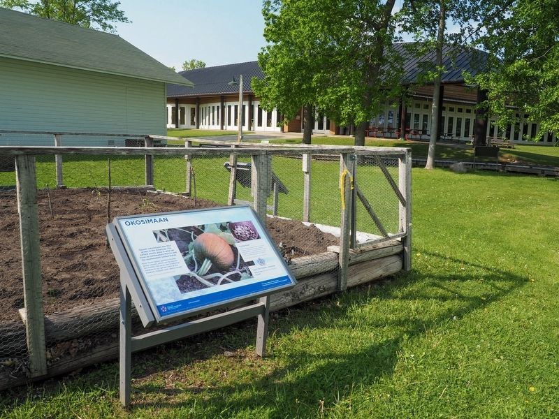 Okosimaan Marker on the southeast side of the demonstration garden image. Click for full size.