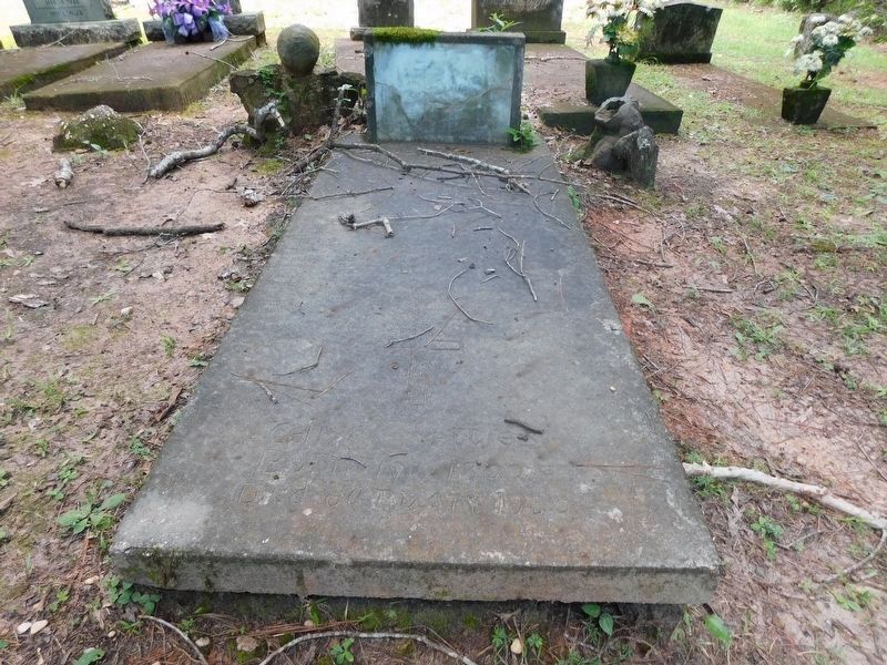 Selena Nettles Death Mask & Grave. Click for full size. Selena Nettles Death Mask & Grave image. Click for full size.