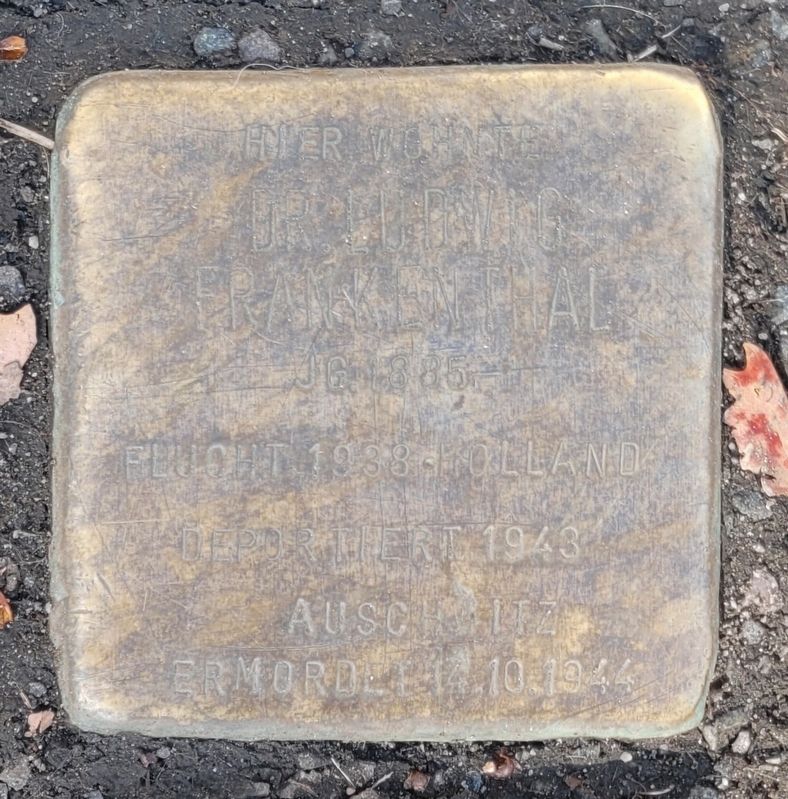 Dr. Ludwig Frankenthal Marker. Click for full size. Dr. Ludwig Frankenthal Marker image. Click for full size.