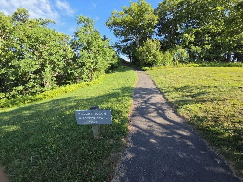 To find Homestead Marker, from the parking lot take the Wildcat Rock trail till it ends.. Click for full size. To find Homestead Marker, from the parking lot take the Wildcat Rock trail till it ends. image. Click for full size.