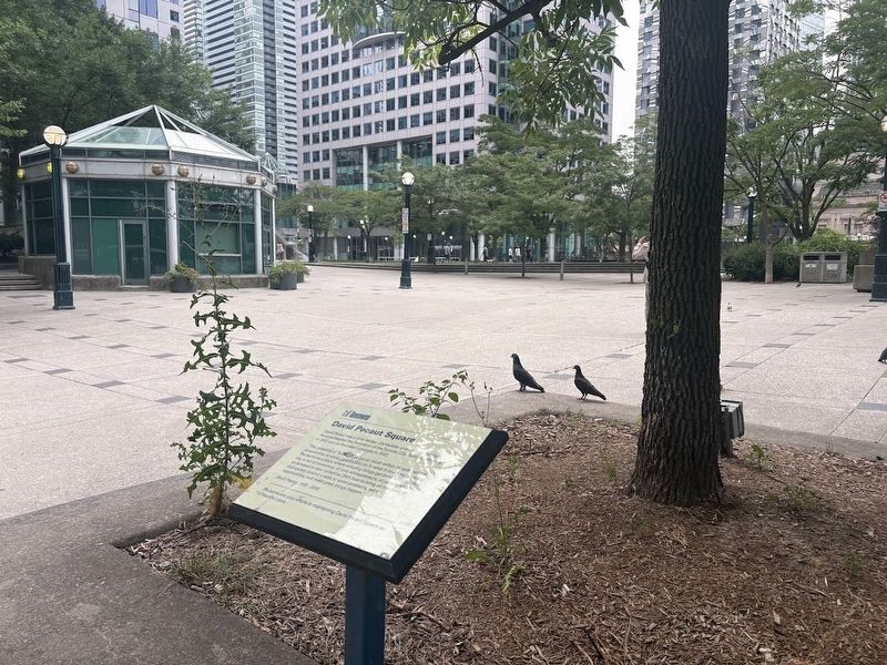 David Pecaut Square. Click for full size. David Pecaut Square image. Click for full size.