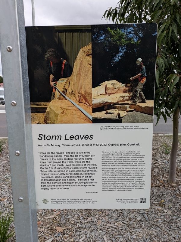 Storm Leaves Marker image. Click for full size.