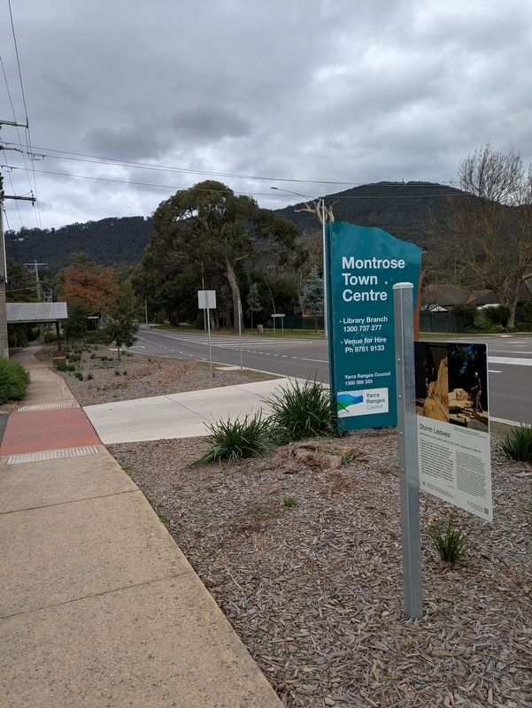 Storm Leaves Marker at the entrance to Montrose Town Centre Reserve image. Click for full size.