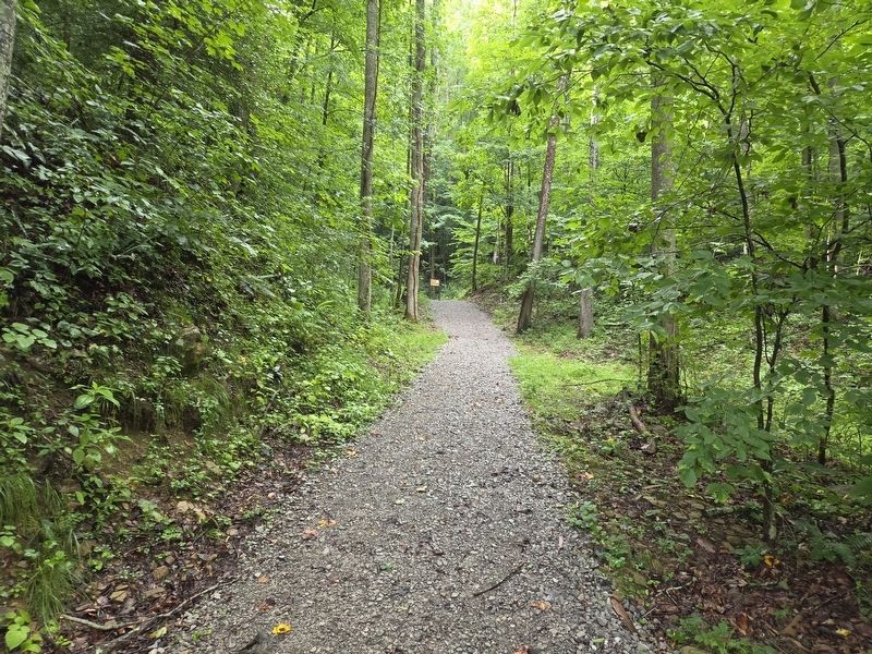 First incline in the trail. Marker is at the end. image. Click for full size.