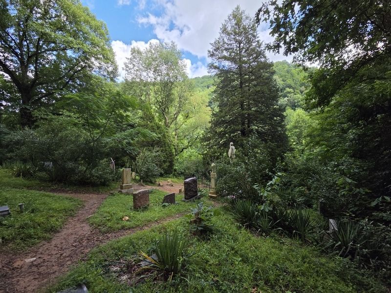 Hatfield Cemetery overlooking the hollow. Click for full size. Hatfield Cemetery overlooking the hollow image. Click for full size.