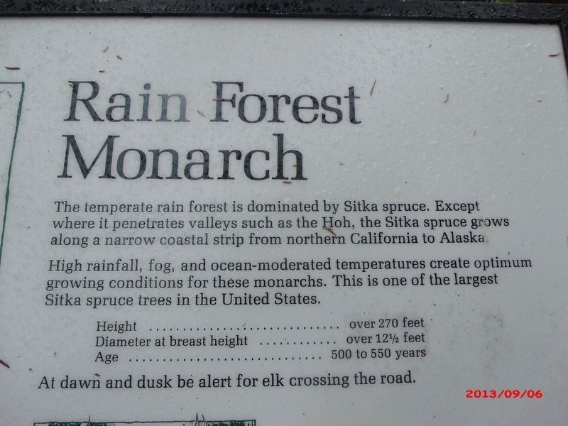 Rain Forest Monarch Marker. Click for full size. Rain Forest Monarch Marker image. Click for full size.
