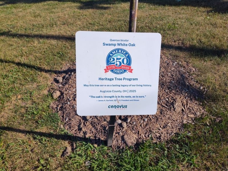 Swamp White Oak (Quercus bicolor) Marker. Click for full size. Swamp White Oak (Quercus bicolor) Marker image. Click for full size.
