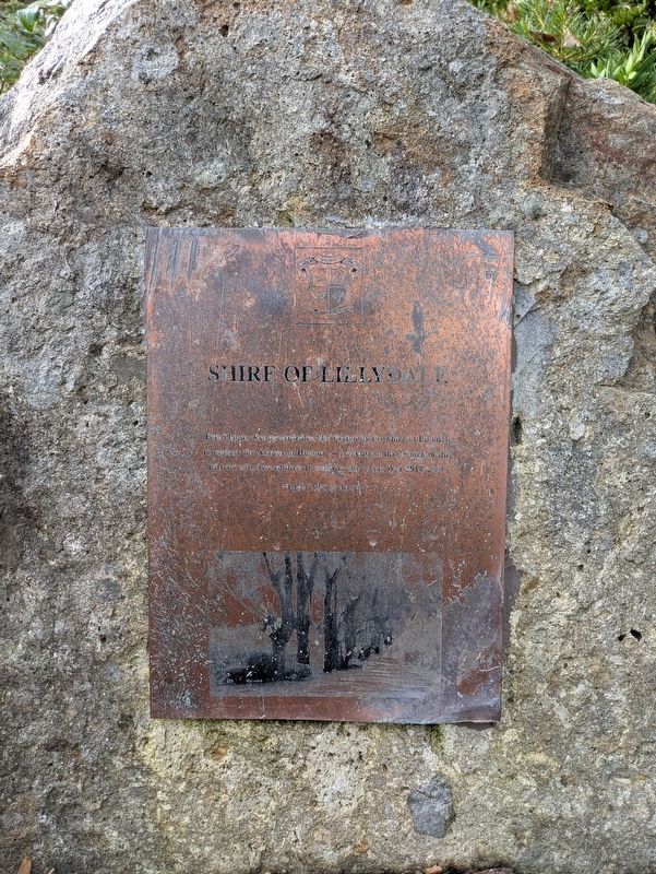Shire of Lillydale Avenue of Honour Marker. Click for full size. Shire of Lillydale Avenue of Honour Marker image. Click for full size.