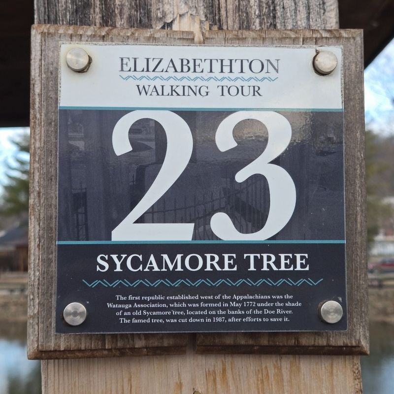 Sycamore Tree Marker image. Click for full size.