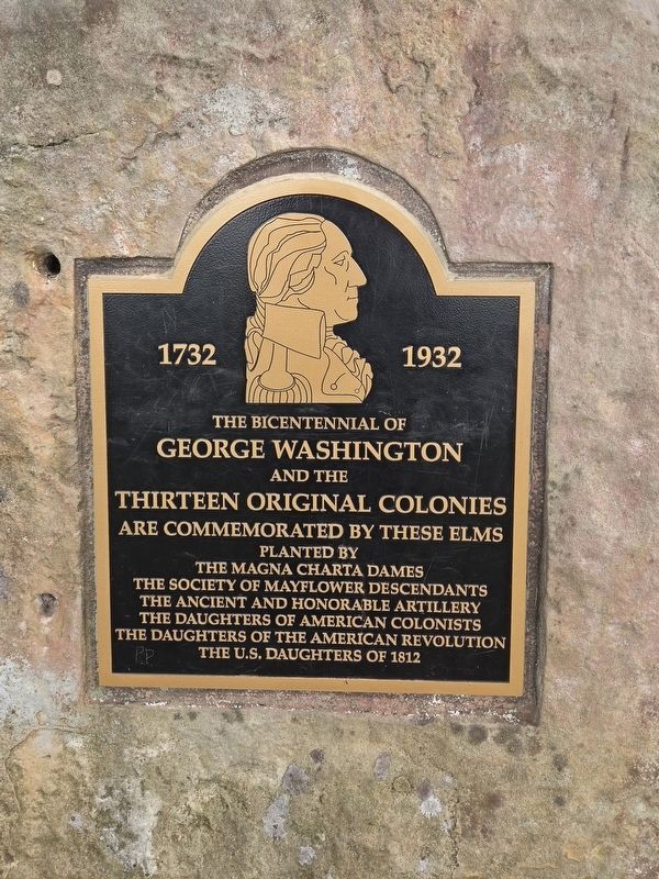 George Washington Elms Marker image. Click for full size.