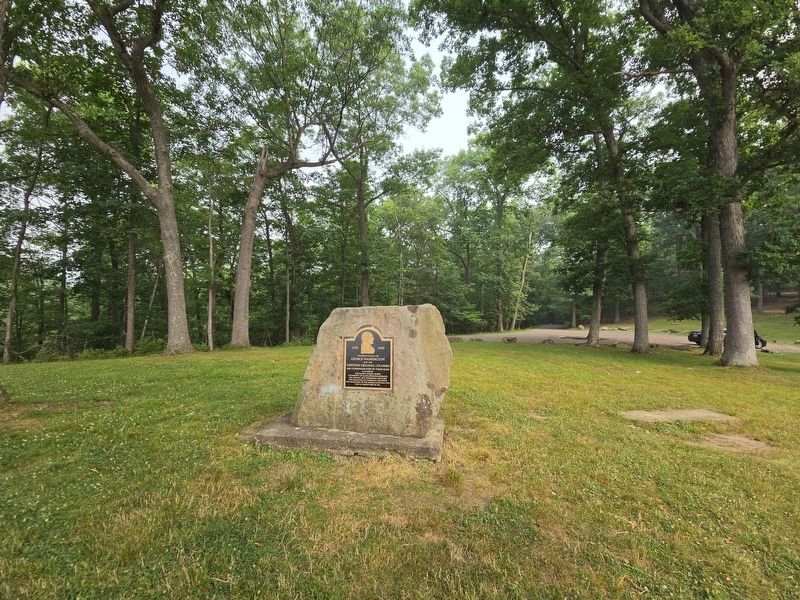 George Washington Elms Marker surround by the elms image. Click for full size.