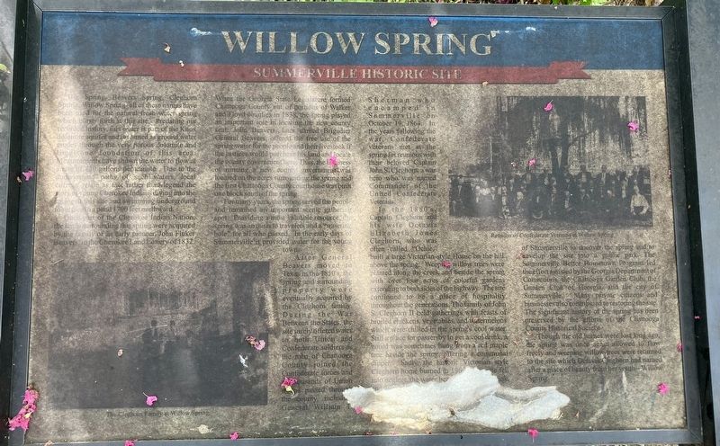 Willow Spring Marker image. Click for full size.