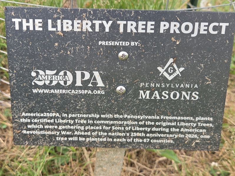 Warren County Liberty Tree Marker. Click for full size. Warren County Liberty Tree Marker image. Click for full size.