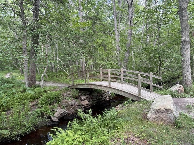 Fooot Bridge Across Dundery Brook image. Click for full size.