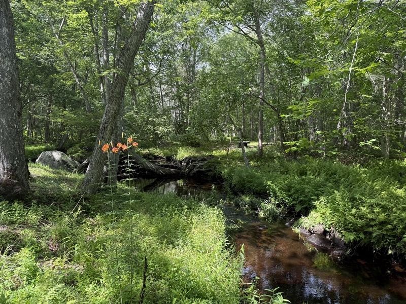 Awashonks Marker and Dundery Brook image. Click for full size.