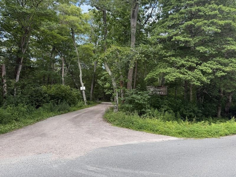 Wilbour Woods Entrance image. Click for full size.