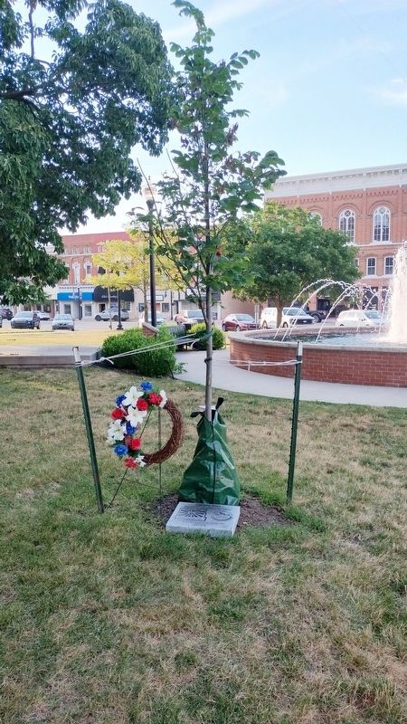 Liberty Tree Marker image. Click for full size.