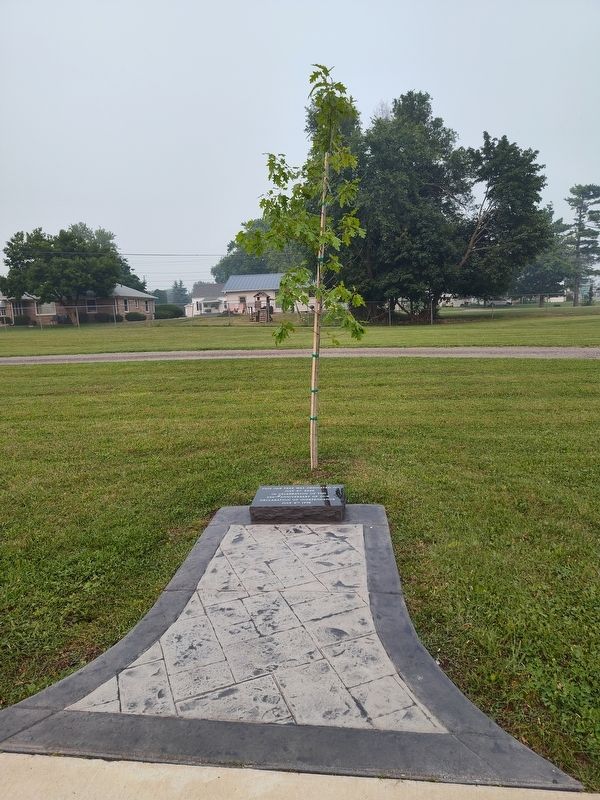 This Oak Tree Marker. Click for full size. This Oak Tree Marker image. Click for full size.