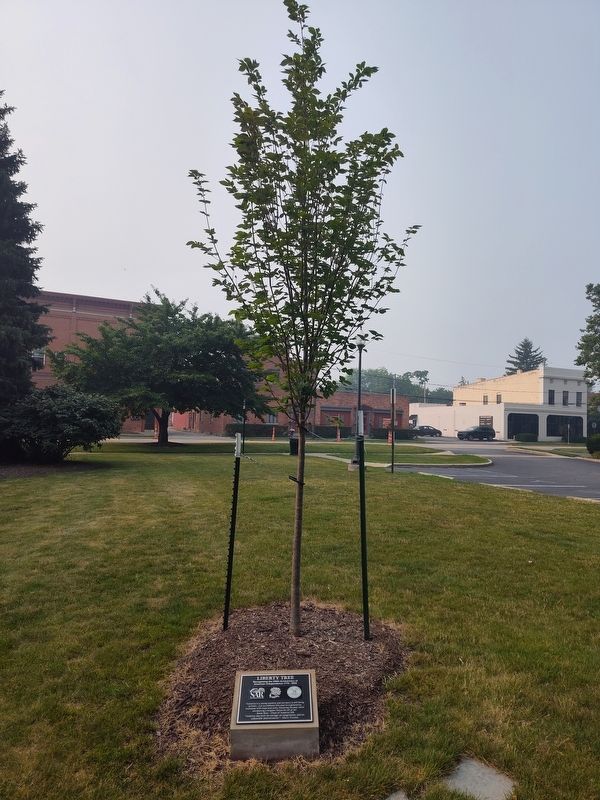 Liberty Tree Marker. Click for full size. Liberty Tree Marker image. Click for full size.