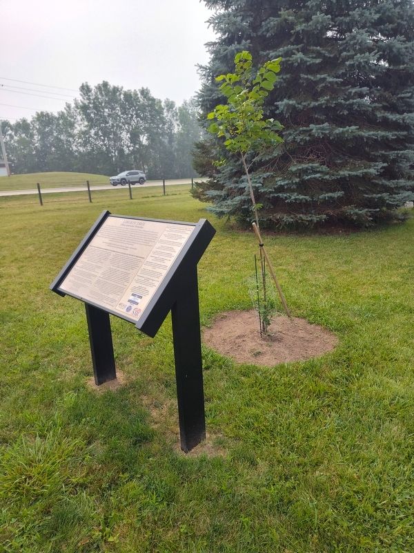 Liberty Tree Marker image. Click for full size.