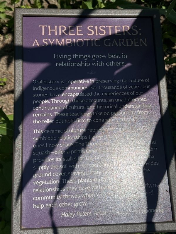Three Sisters: A Symbiotic Garden Marker image. Click for full size.