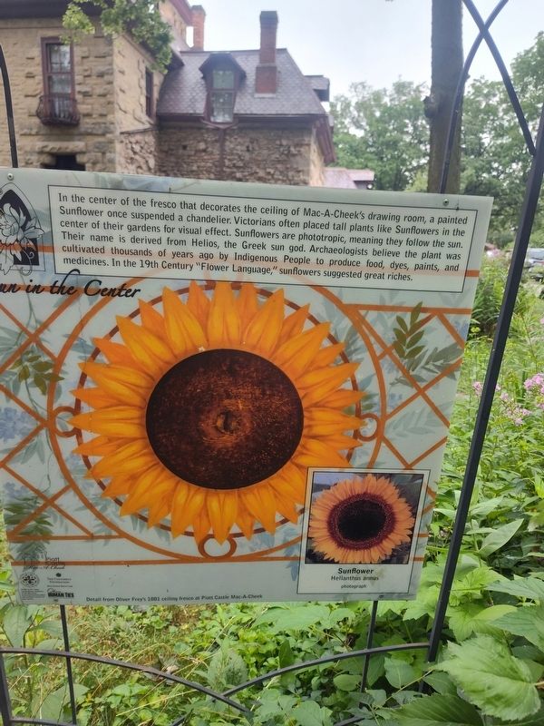Sun in the Center Marker. Click for full size. Sun in the Center Marker image. Click for full size.