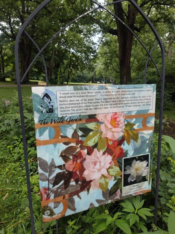 The Wild Garden Marker. Click for full size. The Wild Garden Marker image. Click for full size.